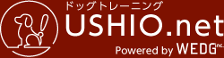 USHIO.net ドッグトレーニング Powered by WEDG inc.